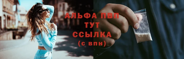 ПСИЛОЦИБИНОВЫЕ ГРИБЫ Каменка