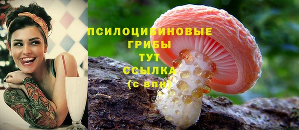 2c-b Баксан